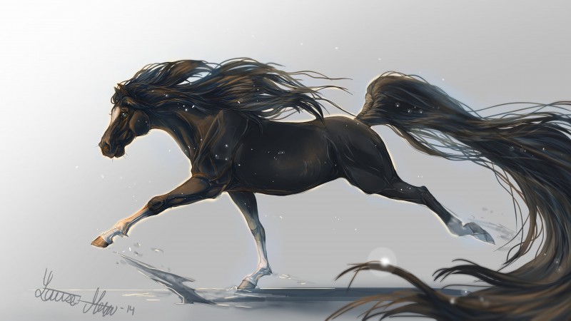 лошадь, 5k, 4k, копыта, грива, скачет, черная, белый фон, арт (horizontal)