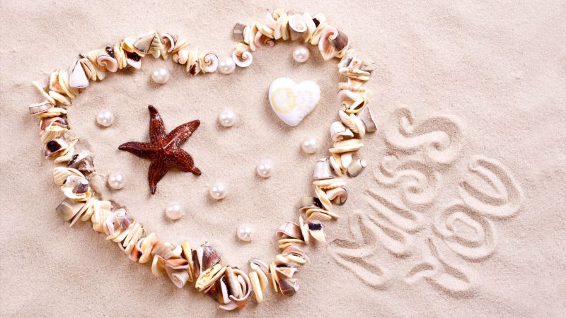 фото любовь, сердце, морские звезды, ракушка, берег (horizontal)