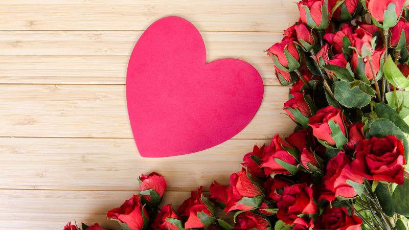 фото любовь, сердце, роза, цветы (horizontal)