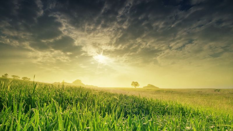 поле, природа, небо, трава (horizontal)