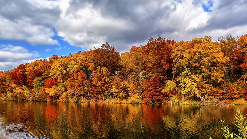 осень, лес, озеро (horizontal)