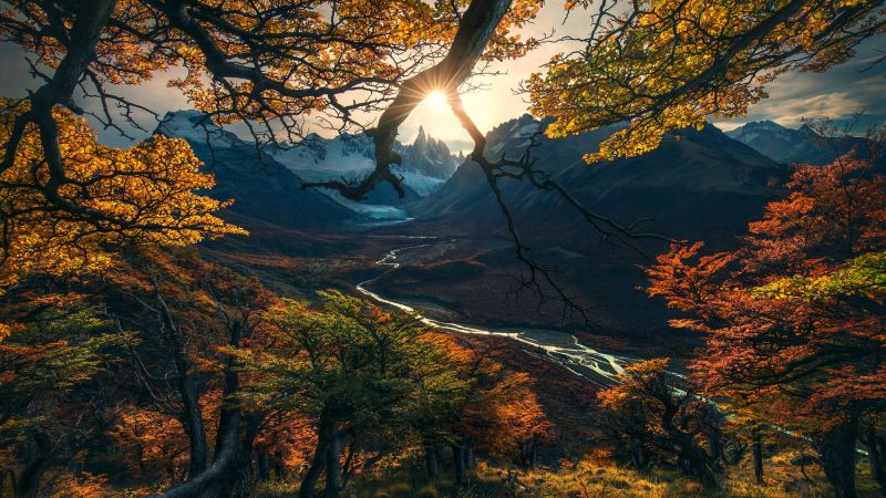 лес, дерево, горы, осень (horizontal)