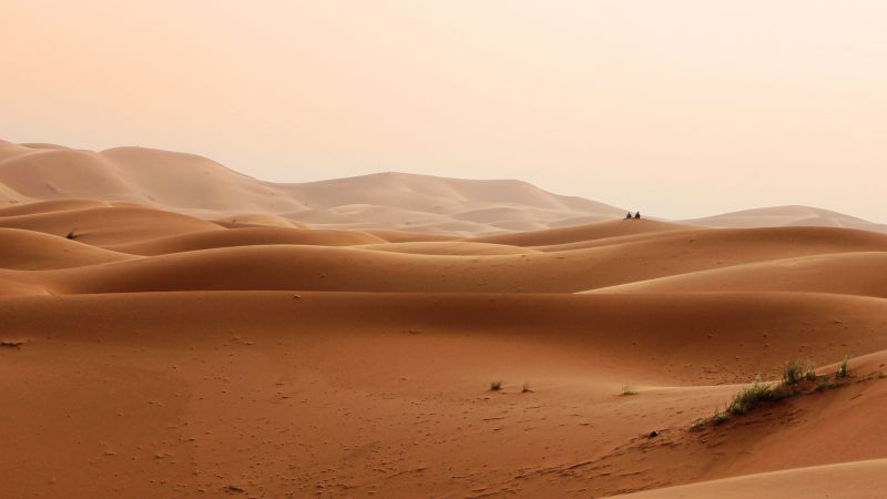 пустыня, песок (horizontal)