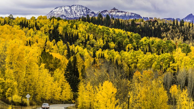 осень, лес, деревья, горы, дорога, Колорадо, США (horizontal)
