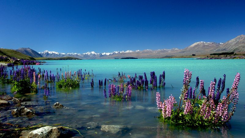 Озеро Текапо, Новая Зеландия (horizontal)