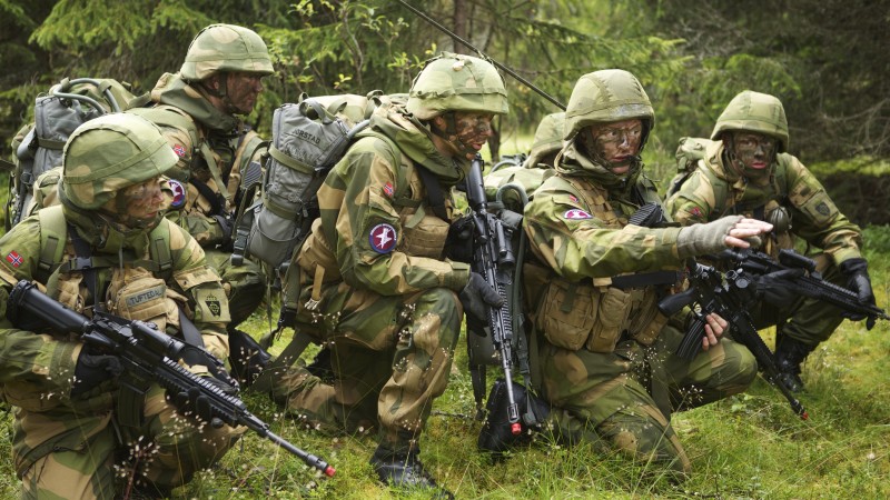 Армия Норвегии, солдат, лес, оружие (horizontal)