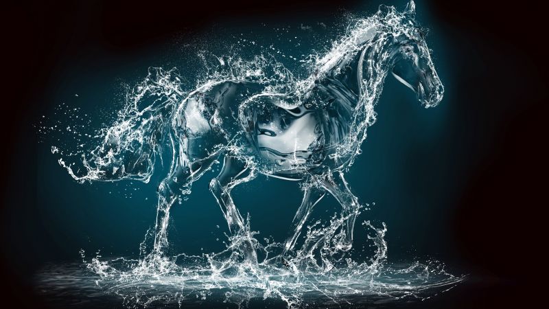 Вода, конь (horizontal)