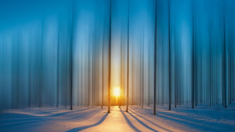 лес, снег, закат (horizontal)