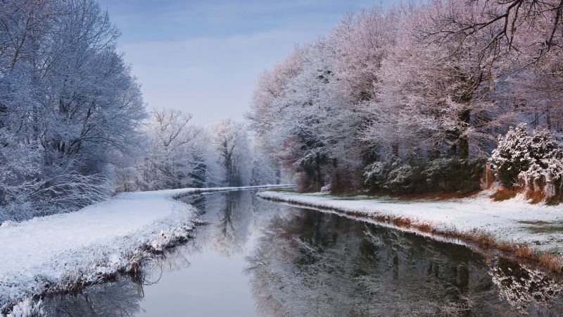 зима, лес, снег, деревья, река (horizontal)
