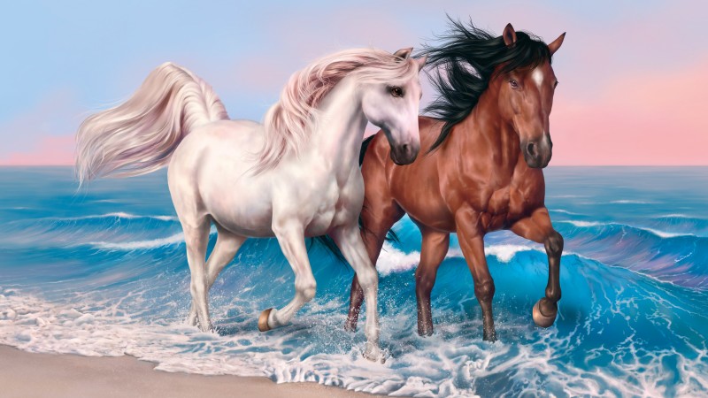 кони, лошадь, 4k, HD, океан, море, волны (horizontal)