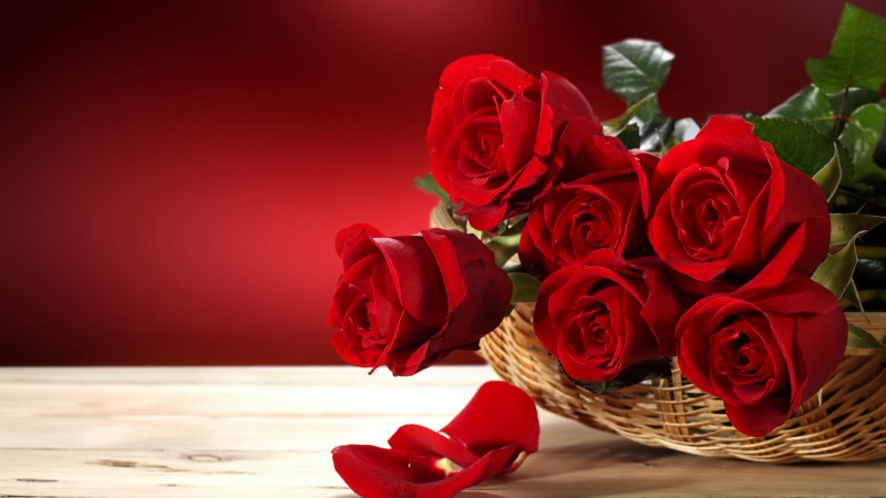 Розы, 5k, 4k, цветочный букет, красный (horizontal)