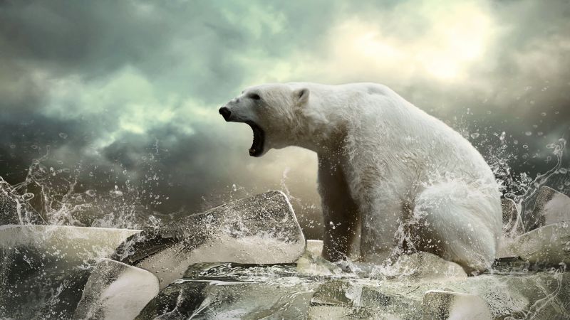 Полярный медведь, лед, рев, океан (horizontal)