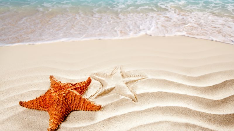Море, 5k, 4k, океан, морские звезды, берег, Лучшие пляжи мира (horizontal)