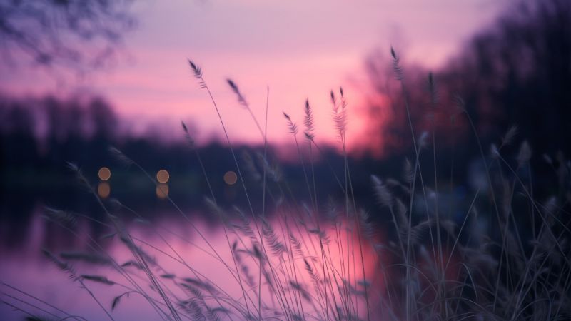 Озеро, 4k, HD, трава, закат, фиолетовый (horizontal)