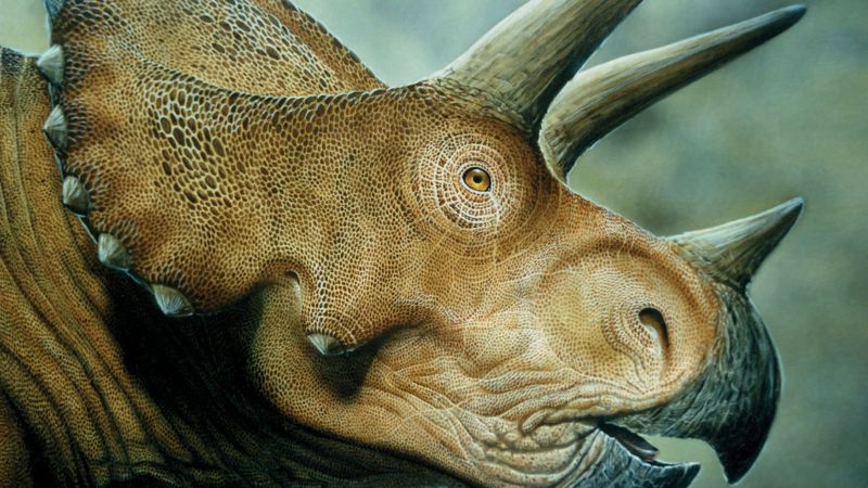 Трицератопс, ​​динозавры, Мир юрского периода, искусство (horizontal)