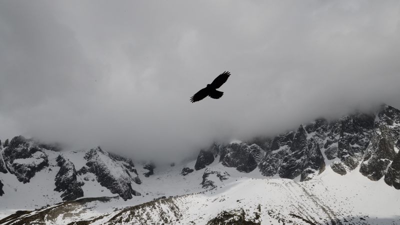орел, горы, полет, облака (horizontal)