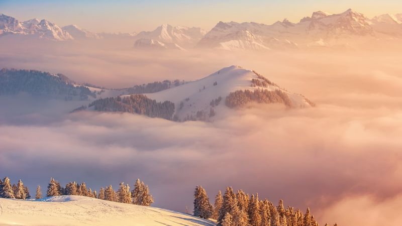 Альпы, 5k, 4k, Швейцария, горы, облака, сосны (horizontal)