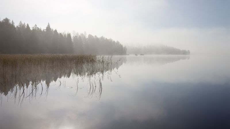 Река, 5k, 4k, туман, деревья, небо (horizontal)
