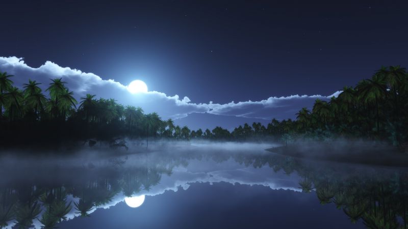 Речные, 4k, HD, морские, пальмы, ночь, луна, облака (horizontal)