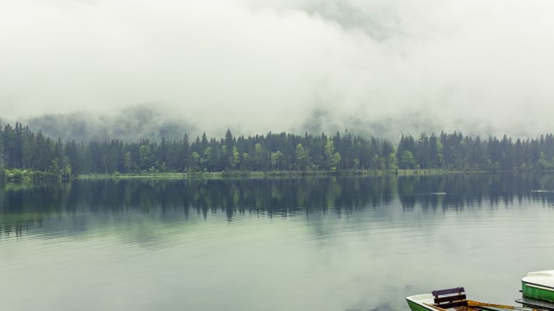 Берхтесгаден, 5k, 4k, 8k, Бавария, Германия, озеро, туман, сосны (horizontal)