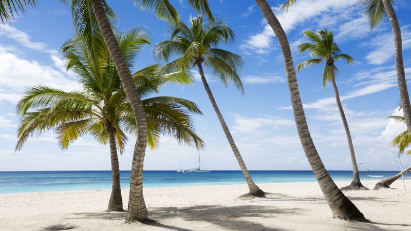 Ямайка, 5k, 4k, Карибы, пляж, пальмы, небо, путешествия, туризм (horizontal)