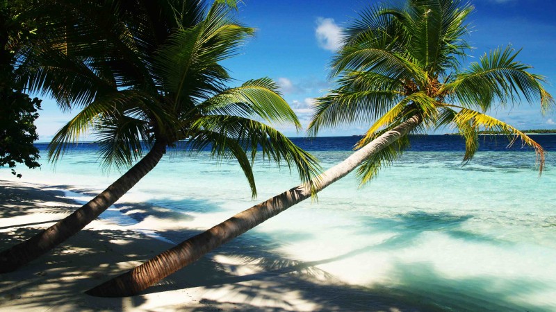 Мальдивские острова, 4k, 5k, пальмы, рай, отпуск, отдых, путешествие, бронирование, остров, океан, бунгало, пляж, небо (horizontal)