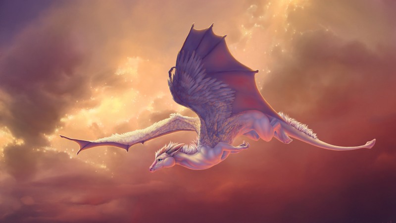существо, 4k, 5k, создание, крылья, дракон, пегас, небо, облака (horizontal)