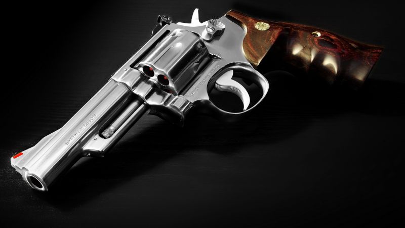 Смит энд Вессон, револьвер, 629-4, 8 3/8, 44 Магнум (horizontal)