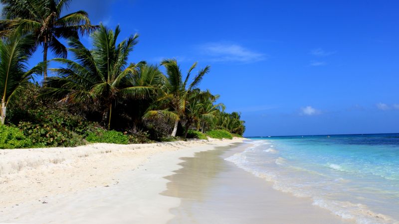 Пляж Фламенко, Кулебра, Пуэрто-Рико, пальмы, лучшие пляжи 2016, Travellers Choice Awards 2016 (horizontal)
