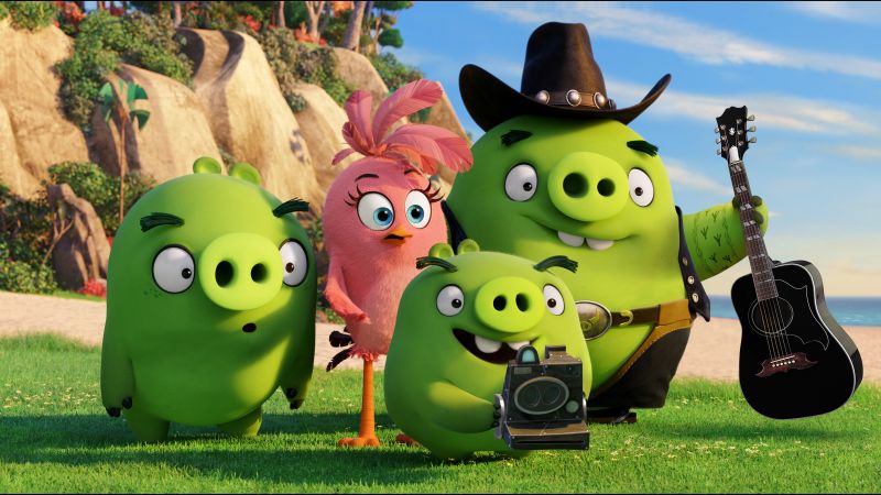 Angry Birds, Зеленые свиньи, семья, мультфильм 2016 (horizontal)