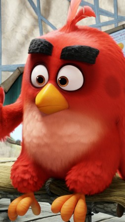 Angry Birds Movie, Красный, Лучшие мультфильмы 2016 (vertical)