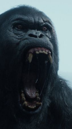 Тарзан. Легенда, горилла, Лучшие фильмы 2016 (vertical)