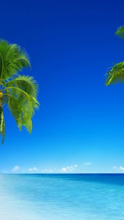 тропический пляж, 5k, 4k, 8k, парадайс, море, пальмы (vertical)