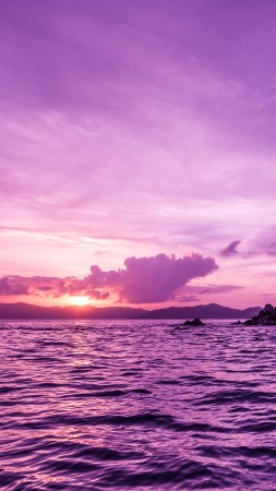 Пеликаны, острова, закат, пурпурный (vertical)