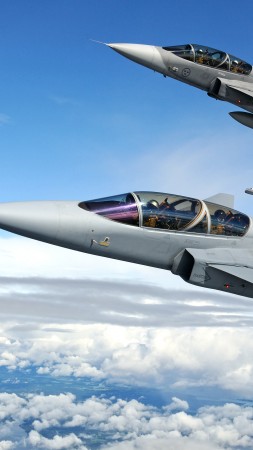 Saab JAS 39 Gripen, истребитель, ВВС ШВЕЦИИ (vertical)