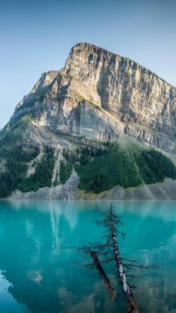 Лейк Луиз, 4k, HD, Канада, путешествия, гора (vertical)