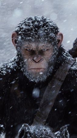 Война планеты обезьян, обезьяна, лучшие фильмы (vertical)