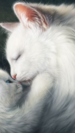 фото любовь, коты (vertical)