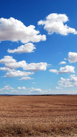 облака, небо, поле (vertical)