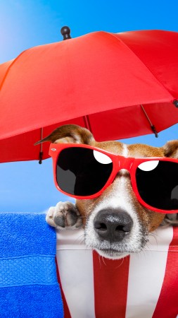 собака, щенок, солнце, лето, пляж, очки, зонтик, отдых, животное, питомец, небо (vertical)