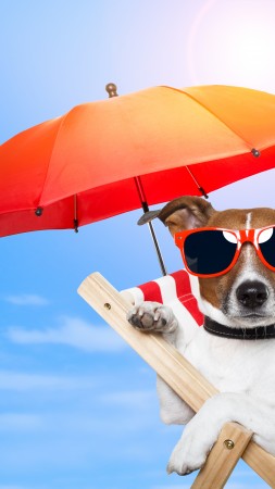 собака, 5k, 4k, 8k, щенок, солнце, лето, пляж, очки, зонтик, отдых, животное, питомец, небо (vertical)