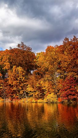 осень, лес, озеро (vertical)