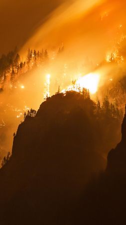 Ущелье Колумбии, лес, огонь (vertical)