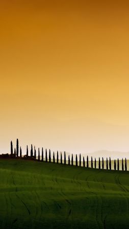 Тоскана, Италия, поле, небо (vertical)