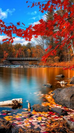 осень, озеро, лес (vertical)