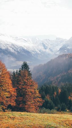 Оберстдорф, Германия, горы, осень (vertical)