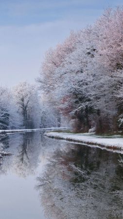зима, лес, снег, деревья, река (vertical)