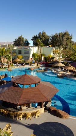 Савой Сиерра Шарм Эль Шейх, отель, хотел, Египет, лучшие отели, бассейн, отдых, путешествие, туризм (vertical)