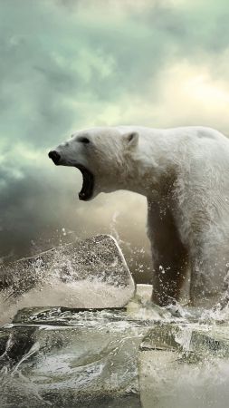 Полярный медведь, лед, рев, океан (vertical)