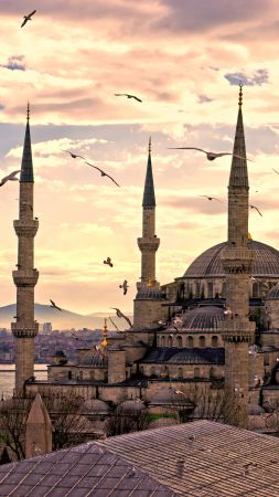 Голубая мечеть, Стамбул, Турция, Туризм, Путешествие (vertical)